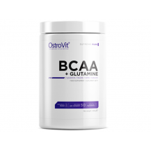 BCAA + GLUTAMINE 500G