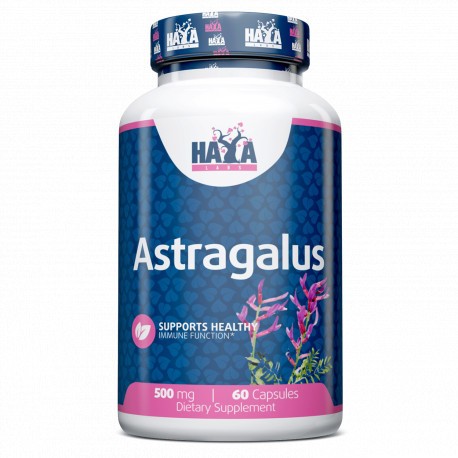 Astragalus 500mg. / 60 caps. SISTEMA IMMUNITARIO ANTI STRESS